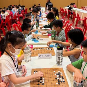 Fundamental Classes for Youths (8 lessons from March to May, starting after March holidays)